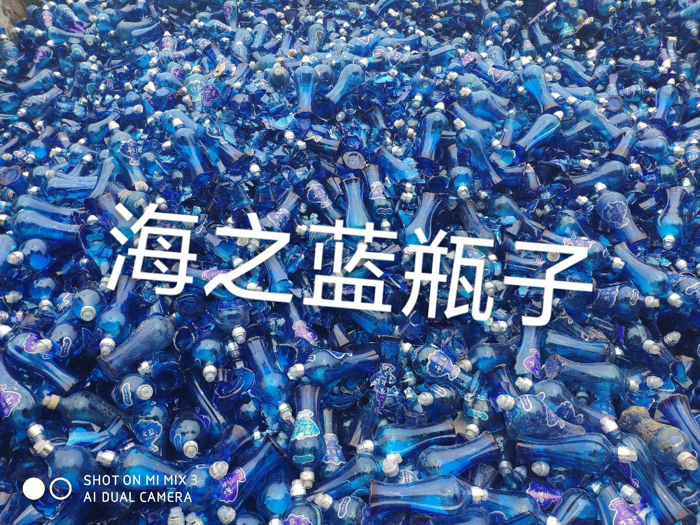高港区海之蓝瓶回收