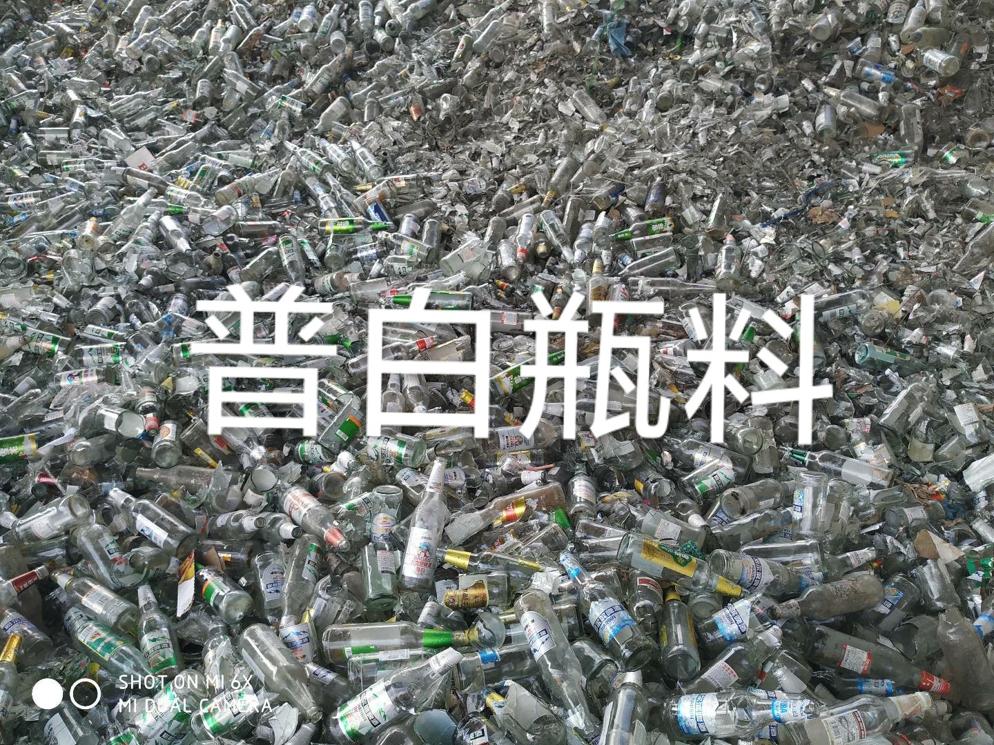 高港区普白瓶料回收